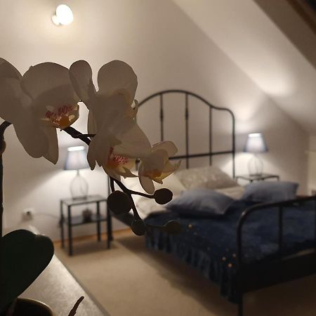 Mieszko Rooms Legionowo Dış mekan fotoğraf